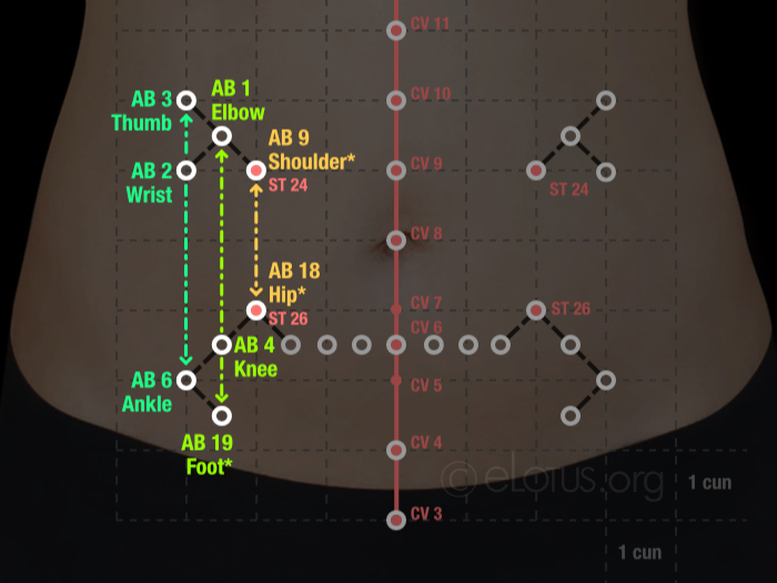 Vertically aligned abdominal points