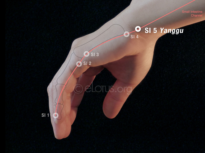 Yanggu 5) | Master Tung's Acupuncture | eLotus